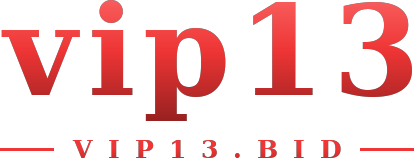 vip13 logo